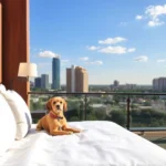 Wyndham Garden Monterrey Norte - Hotel Pet Friendly en Monterrey