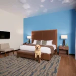 Wyndham Mérida - Hotel Pet Friendly en Mérida