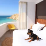 Hoteles Pet Friendly en Agua Blanca de Iturbide, Hidalgo