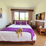 Hoteles Pet Friendly en Akumal, Quintana Roo