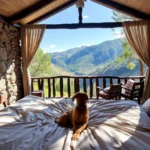 Hoteles Pet Friendly en Alpuyeca, Morelos