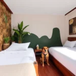Hoteles Pet Friendly en Amatlán de Quetzalcóatl, Morelos