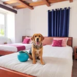 aquiles-serdan