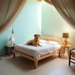 Hoteles Pet Friendly en Atotonilco de Tula, Hidalgo