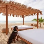 baja-california-3