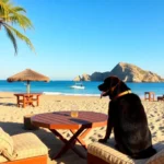 Hoteles Pet Friendly en Bucerías, Nayarit