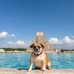 chichen-itza