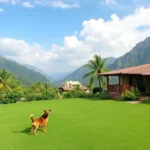 Hoteles Pet Friendly en Coahuayana Viejo, Michoacán