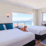 col-el-paraiso