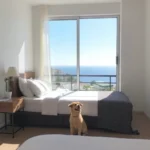 Hoteles Pet Friendly en Colonia los sauces, Oaxaca