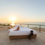 Hoteles Pet Friendly en Cruz Blanca, Hidalgo