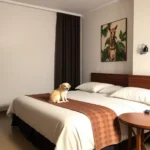 Hoteles Pet Friendly en Cuatro Ciénegas de Carranza, Coahuila