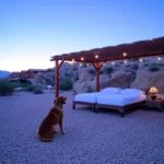 Hoteles Pet Friendly en Fraccionamiento Prados del Sol, Morelos