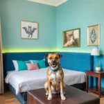 Hoteles Pet Friendly en Guadalajara, Jalisco