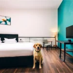 Hoteles Pet Friendly en Guerrero Negro, Baja California Sur