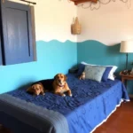 juluchuca
