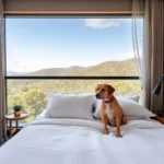 Hoteles Pet Friendly en La Presa, Hidalgo