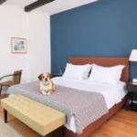 Hoteles Pet Friendly en Las Jarretaderas, Nayarit