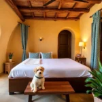 Hoteles Pet Friendly en Los Arcos, Morelos