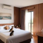 Hoteles Pet Friendly en Monte Alto, Tamaulipas