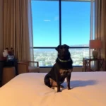 monterrey