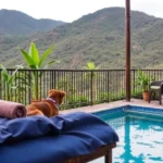 Hoteles Pet Friendly en Oaxtepec, Morelos