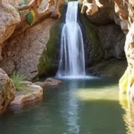 parras-de-la-fuente