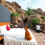 Hoteles Pet Friendly en Paso del Toro, Veracruz
