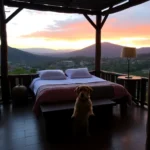 Hoteles Pet Friendly en Pátzcuaro, Michoacán