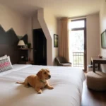 Hoteles Pet Friendly en Pichucalco, Chiapas