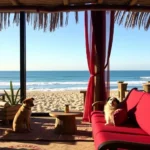 puerto-nuevo