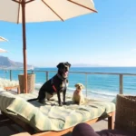 puerto-vallarta