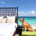 Hoteles Pet Friendly en Punta Mita, Nayarit