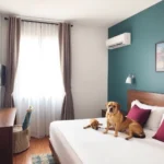 san-andres-tuxtla