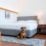 Hoteles Pet Friendly en Santiago Tepetlapa, Morelos