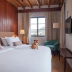 Hoteles Pet Friendly en Tampico, Tamaulipas