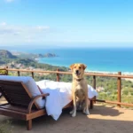 Hoteles Pet Friendly en Temixco, Morelos