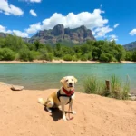 Hoteles Pet Friendly en Tepeji del Río de Ocampo, Hidalgo