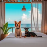 Hoteles Pet Friendly en Tulum, Quintana Roo