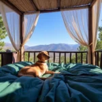 Hoteles Pet Friendly en Valle Esmeralda, Oaxaca