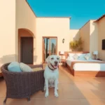 Hoteles Pet Friendly en Villa Alberto Andrés Alvarado Arámburo, Baja California Sur